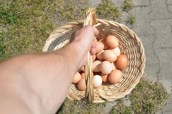 Tragen Einen Korb Voller Eier — Stockfoto