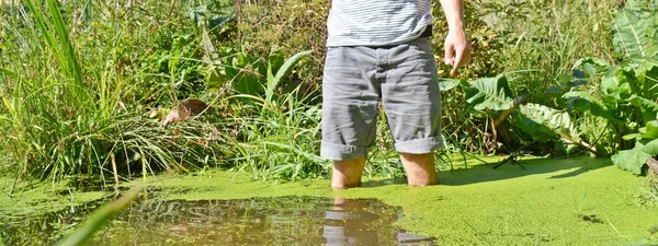 脚上的特写镜头 人类在夏天穿过一条小河 在那里植物生长 — 图库照片