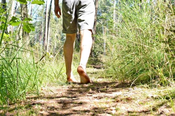 Close Sobre Pés Atravessa Caminho Seixos Floresta Relaxa Natureza Temperaturas — Fotografia de Stock