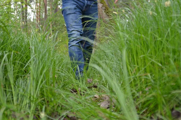 kot bacaklar yakın, doğada yürüyüş 