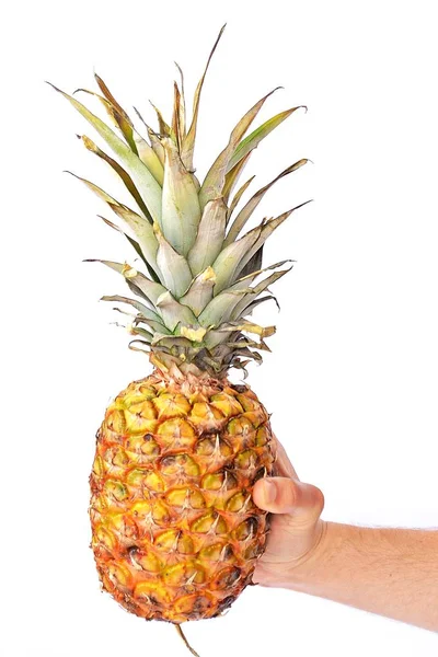 Pineapple Front Colorful Background — Stock Photo, Image