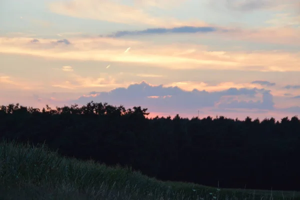 Coucher Soleil Sur Ciel Nuageux Dessus Une Forêt Avec Des — Photo