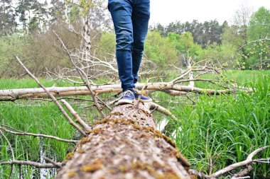 kot bacaklar yakın, doğada yürüyüş 