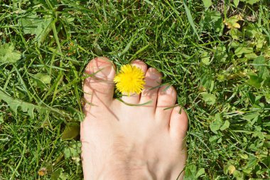 Yakın çekim - Adam bir çayırda duruyor