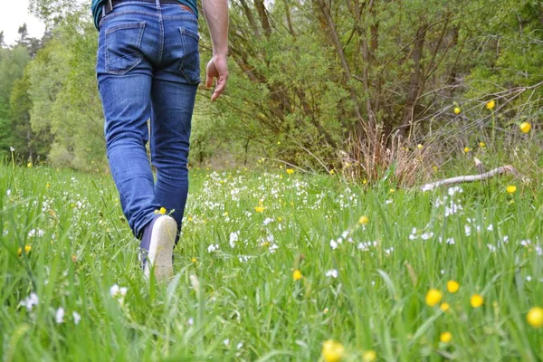 Gros Plan Des Jambes Jeans Marchant Dans Nature — Photo