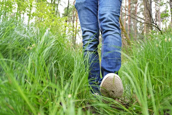 Närbild Benen Jeans Promenader Naturen — Stockfoto