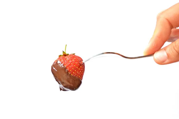 フォークの先端に貼り付け 液体チョコレートに浸す新鮮なイチゴ クローズアップと孤立 — ストック写真