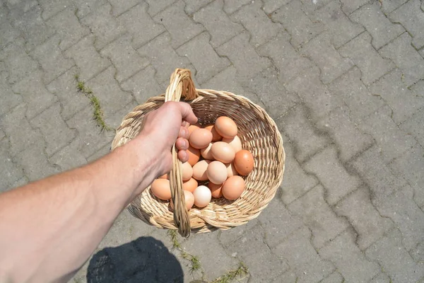 Tragen Einen Korb Voller Eier — Stockfoto