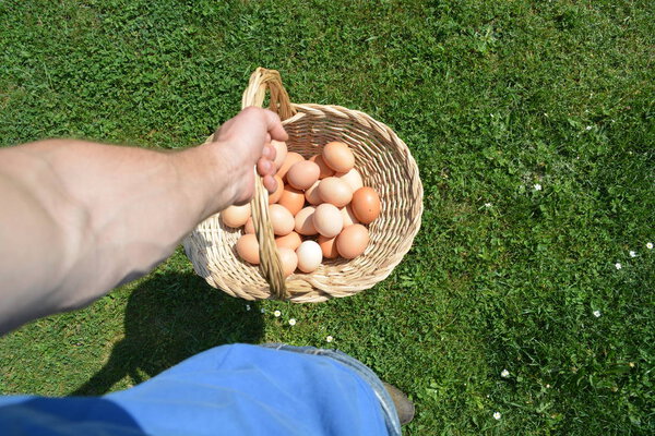 Неси корзину с яйцами.
