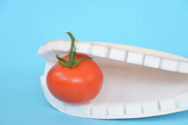 토마토를 큐브로 치아와 — 스톡 사진