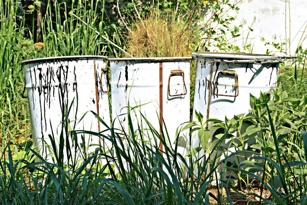 Viejos Barriles Rústicos Blancos Jardín — Foto de Stock