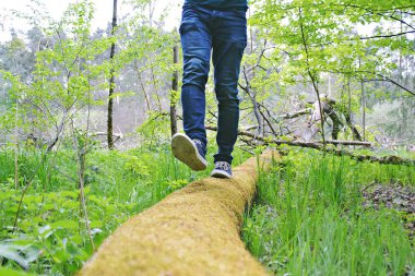 kot bacaklar yakın, doğada yürüyüş 