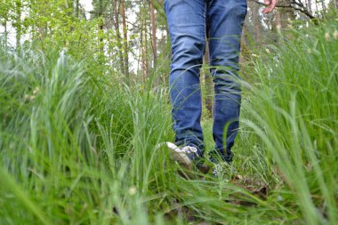 kot bacaklar yakın, doğada yürüyüş 