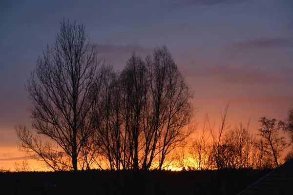 Die Silhouetten Der Bäume Farbenfrohen Sonnenuntergang — Stockfoto