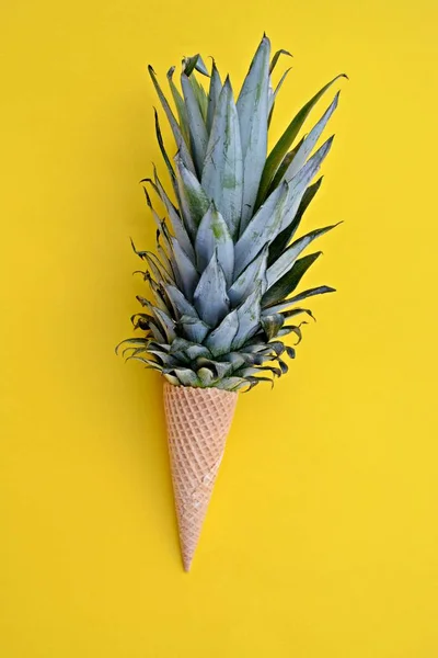 Der Stiel Einer Ananas Einem Eiszapfen Vor Einfarbigem Hintergrund Als — Stockfoto