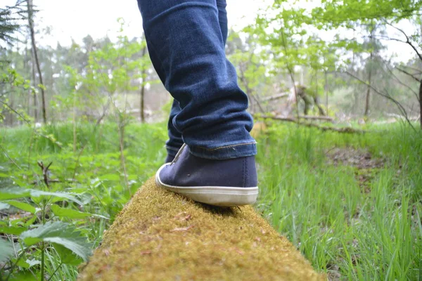 Närbild Benen Jeans Promenader Naturen — Stockfoto