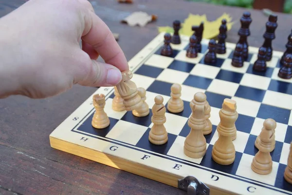 Chessboard Chess Pieces Standing Wooden Table Autumn Forest Colorful Autumn — Stock Photo, Image