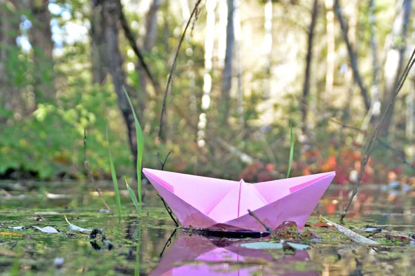 Papier Schip Drijft Tussen Herfst Bladeren Een Laag Stromend Water — Stockfoto
