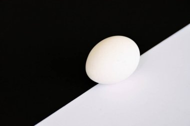 Beyaz bardak ile tavuk yumurtası beyaz yumurta ve küçük gölge ile arka plan olarak güçlü bir kontrast ile yarım beyaz ve yarım siyah arka plan önünde yalan 