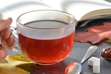Kestane ile bir otumnal ayarı önünde bir bardak çay dökme, renkli sonbahar yaprakları ve bir kitap içme çayı sonbahar ayarı bir bardak çay sembolize soğuk kış günlerinde ısınmak için