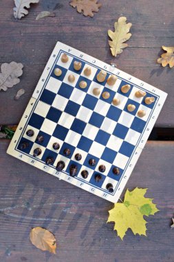 A chessboard with chess pieces is standing on a wooden table in the autumn forest with colorful autumn leaves next to it - two chess pieces face each other and cause a fight with the respective teams clipart