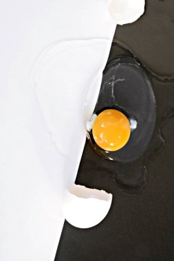 Yumurta akı ile çevrili bozulmamış yumurta sarısı ile açık bir yumurta yarım siyah yarım beyaz arka plan yatıyor - siyah ve beyaz ve bir yumurta ile kavram 