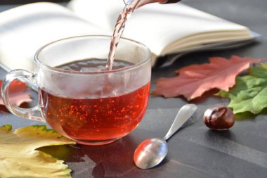 Kestane ile bir otumnal ayarı önünde bir bardak çay dökme, renkli sonbahar yaprakları ve bir kitap içme çayı sonbahar ayarı bir bardak çay sembolize soğuk kış günlerinde ısınmak için