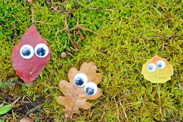 Verschiedene Bunte Herbstblätter Liegen Auf Dem Boden Und Haben Wackelige — Stockfoto