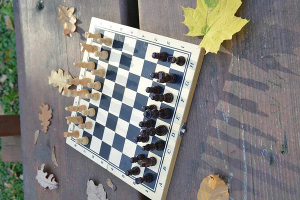 Ein Schachbrett Mit Schachfiguren Steht Auf Einem Holztisch Herbstwald Daneben — Stockfoto