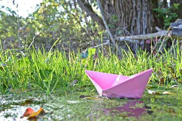 Papier Schip Drijft Tussen Herfst Bladeren Een Laag Stromend Water — Stockfoto