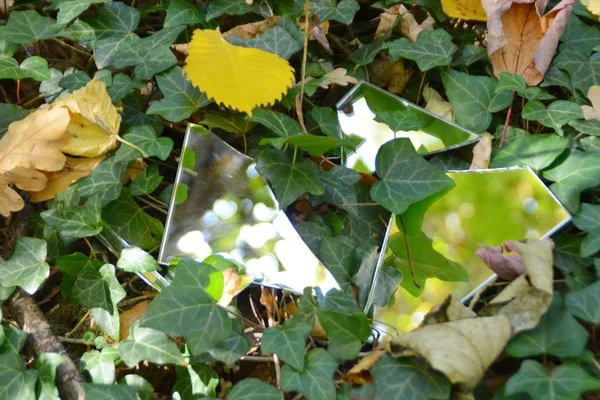 Fragmentos Espelho Encontram Entre Folhas Coloridas Outono Refletem Céu Bem — Fotografia de Stock