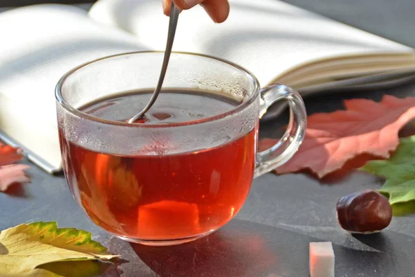 Nalewanie Herbaty Szklance Przed Jesienny Ustawienie Kasztanów Kolorowych Liści Jesienią — Zdjęcie stockowe