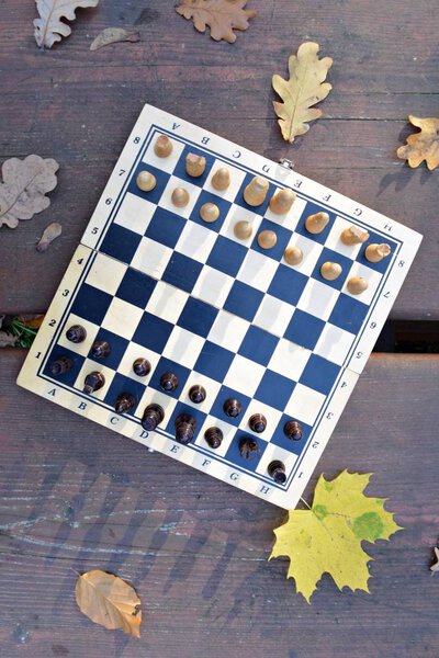 Шахматная доска с шахматными фигурами стоит на деревянном столе в осеннем лесу с красочными осенними листьями рядом - две шахматные фигуры лицом друг к другу и вызывают драку с соответствующими командами
