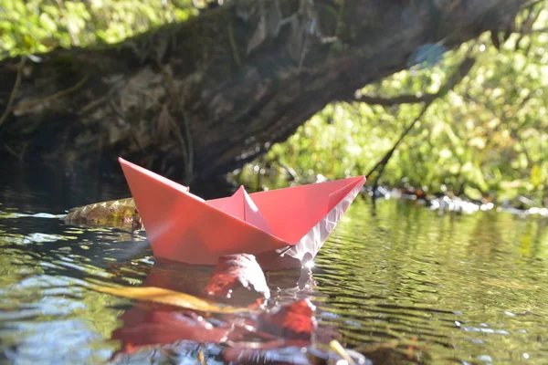 paper ship floats in stagnant water between plants in autumn in Germany