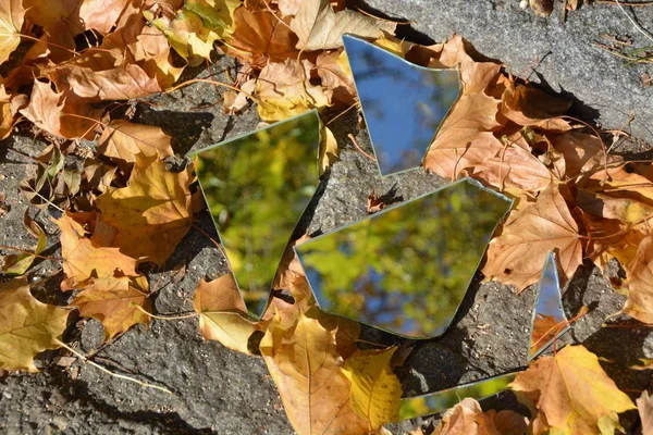 Mirror shards lie between colorful autumn leaves and reflect the sky as well as parts of the foliage - concept with mirrors and autumn leaves