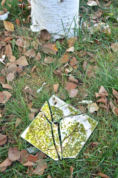 Fragmentos Espelho Encontram Entre Folhas Coloridas Outono Refletem Céu Bem — Fotografia de Stock