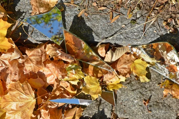 Mirror shards lie between colorful autumn leaves and reflect the sky as well as parts of the foliage - concept with mirrors and autumn leaves