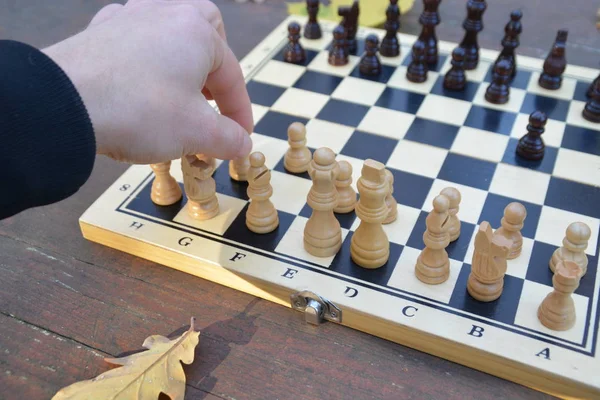 Ein Schachbrett Mit Schachfiguren Steht Auf Einem Holztisch Herbstwald Daneben — Stockfoto