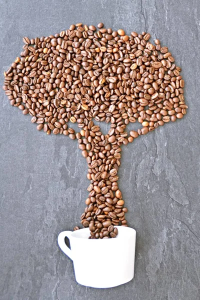 Tree Grows Out White Coffee Cup Concept Coffee Beans Form — Stock Photo, Image