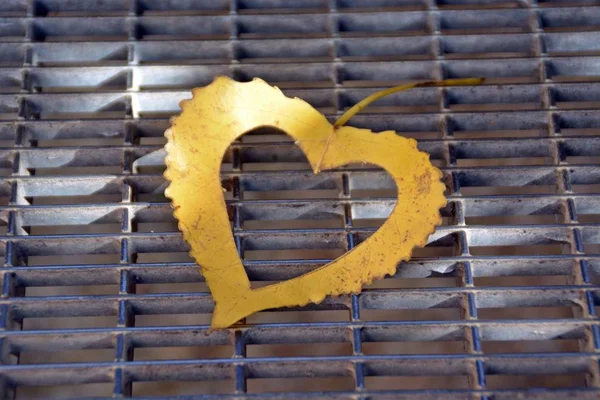 Una Hoja Amarilla Otoño Forma Corazón Encuentra Escalón Hierro Mientras — Foto de Stock
