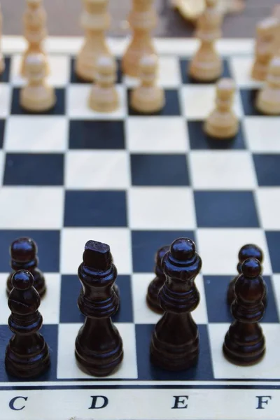 Ett Schackbräde Med Schackpjäser Står Ett Träbord Höst Skogen Med — Stockfoto