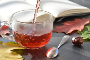 Kestane ile bir otumnal ayarı önünde bir bardak çay dökme, renkli sonbahar yaprakları ve bir kitap içme çayı sonbahar ayarı bir bardak çay sembolize soğuk kış günlerinde ısınmak için