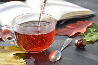 Kestane ile bir otumnal ayarı önünde bir bardak çay dökme, renkli sonbahar yaprakları ve bir kitap içme çayı sonbahar ayarı bir bardak çay sembolize soğuk kış günlerinde ısınmak için