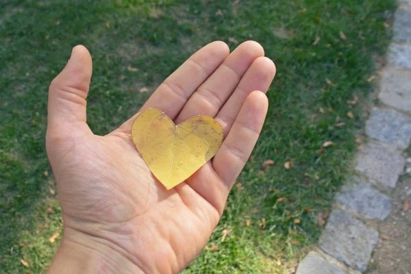 Una Hoja Amarilla Otoño Forma Corazón Encuentra Escalón Hierro Mientras — Foto de Stock