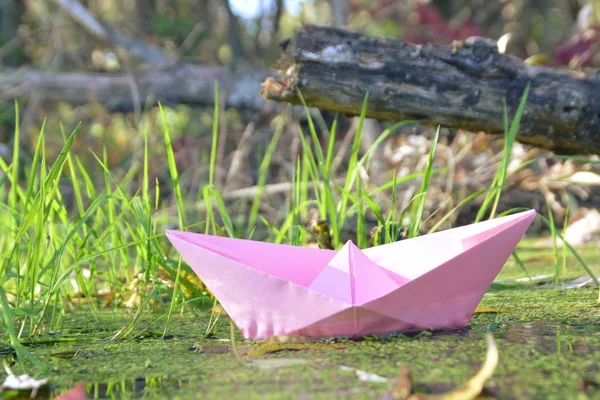 Papier Schip Drijft Tussen Herfst Bladeren Een Laag Stromend Water — Stockfoto