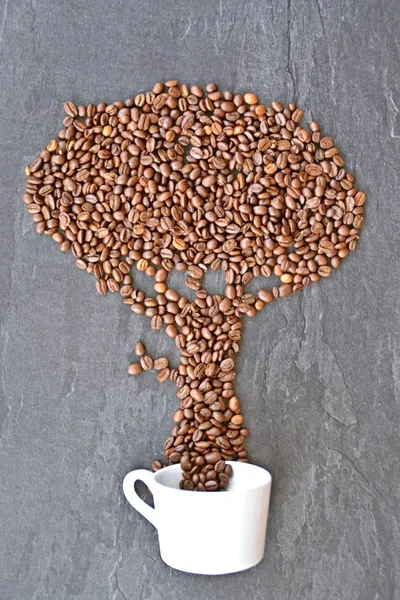 Een Boom Groeit Uit Een Witte Koffiekop Concept Met Koffiebonen — Stockfoto