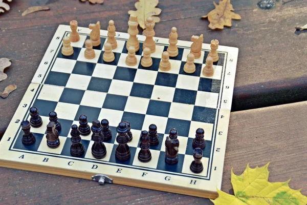 一块棋子的棋盘矗立在秋林的木桌上 旁边是五颜六色的秋叶 两盘棋子面对面 与各自的团队展开较量 — 图库照片