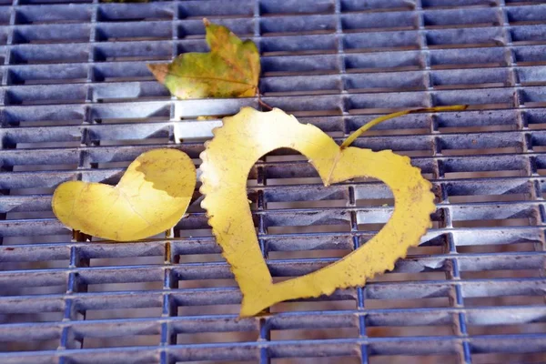 Una Hoja Amarilla Otoño Forma Corazón Encuentra Escalón Hierro Mientras — Foto de Stock