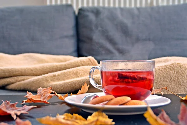 Escenario Otoñal Con Sobre Fondo Oscuro Una Bolsita Frutas Flotando — Foto de Stock