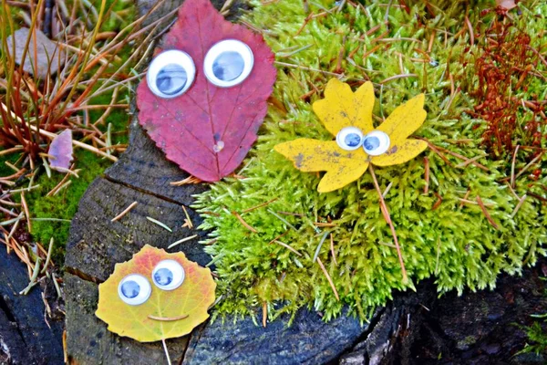 Verschiedene Bunte Herbstblätter Liegen Auf Dem Boden Und Haben Wackelige — Stockfoto